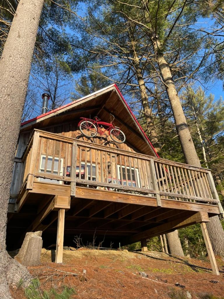 Grunberg Haus Inn & Cabins Waterbury Bagian luar foto